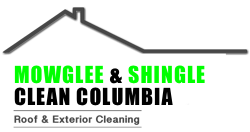 ShingleClean